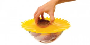 Silicone Lids