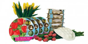 GARDEN BULB PAD