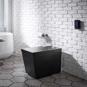 https://www.us.kohler.com/us/Numi-Intelligent-toilet-with-KOHLER-Konnect/content/CNT131300025.htm