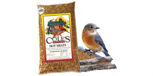 bird feed