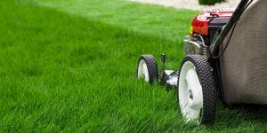 manual lawn products