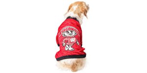 pet products