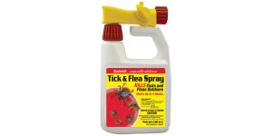 Insect Spray