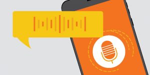 voice search