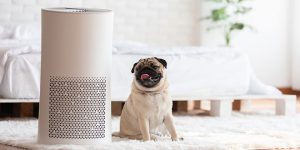 Air Purifier