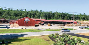 hancock lumber safety director