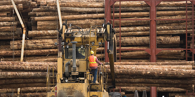 NAHB lumber production