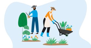 Graphic of two people gardening