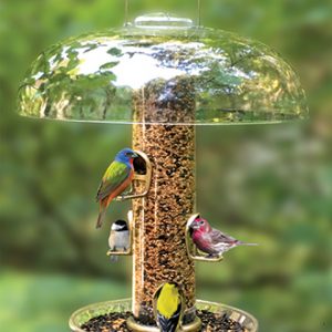 tube bird feeder