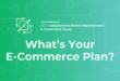 e-commerce survey