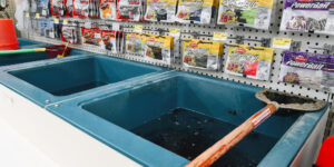 bait pools