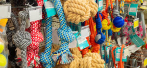 Pet Accessories