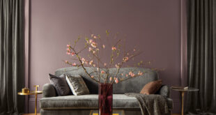 Benjamin Moore 2025 Color of the Year