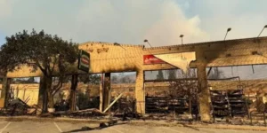 wildfires