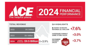 Ace 2024 Financials