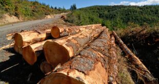 Fix Our Forests Act