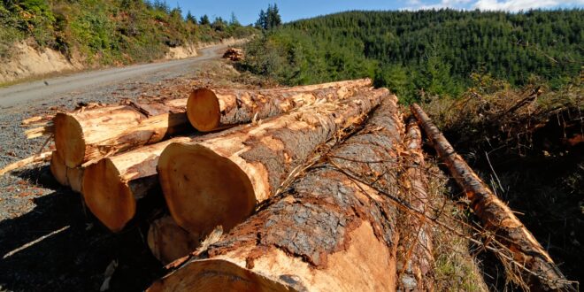 Fix Our Forests Act