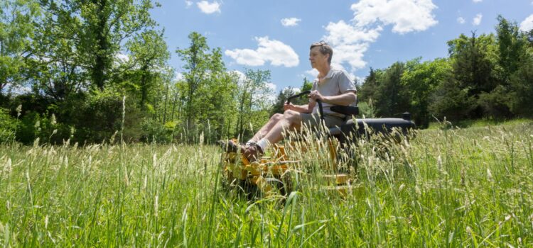 Lawn and Garden Category Sees Growth With Lawn Mower Segment