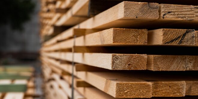 USDA forest management