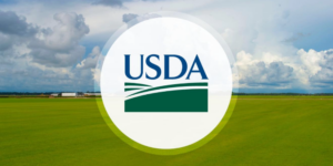 USDA forest management