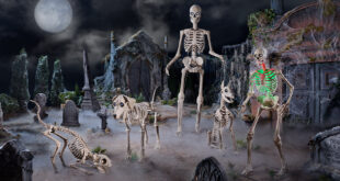 Home Depot Halloween