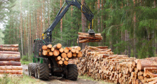 USDA mass timber