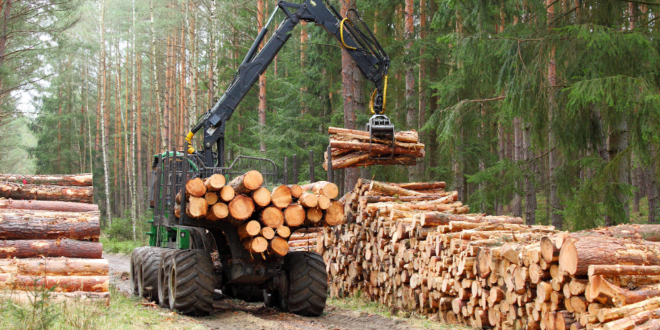 USDA mass timber