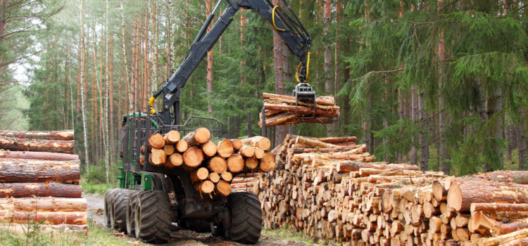USDA Increases Mass Timber Investments