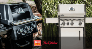 Napoleon Broil King