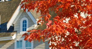 Fall exterior home projects