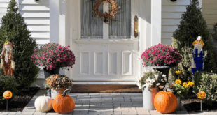 fall porch products