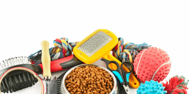 5 Pet accessories