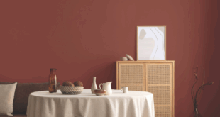Clark+Kensington color of the year