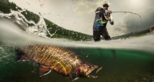 Fishing Products