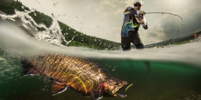 Fishing Products