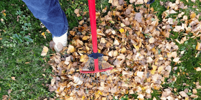 leaf cleanup tools