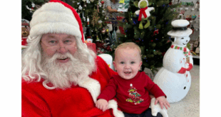 Sunshine Ace letters to santa