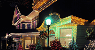 holiday lights trends