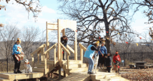 Westlake Ace Shelter Dog Playground