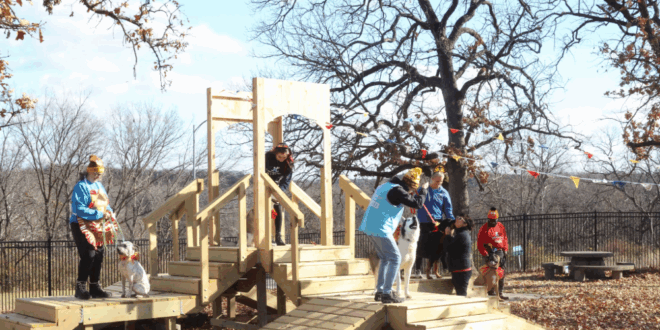 Westlake Ace Shelter Dog Playground