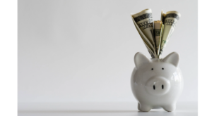 consumers price conscious