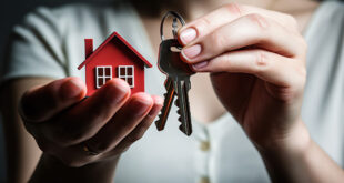 January new home sales