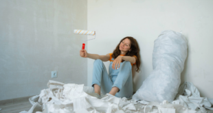 Gen z home renovation