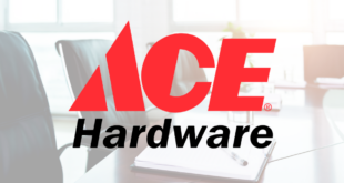 Ace Board elections