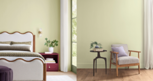 Sherwin-Williams 2027 color of the year