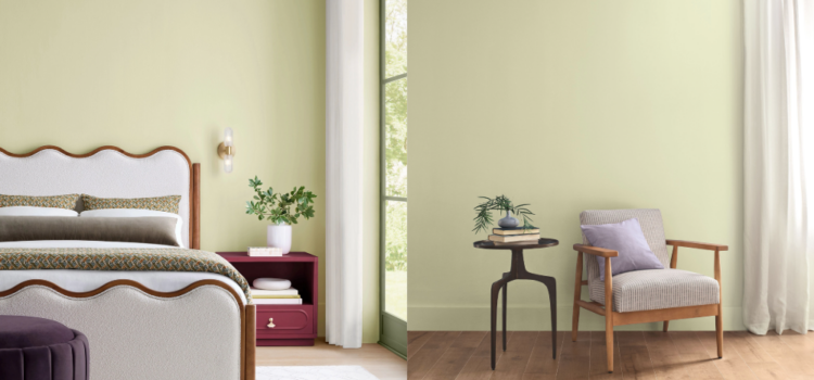 Sherwin-Williams and HGTV Home by Sherwin-Williams Name 2027 Color of the Year