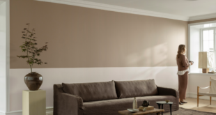 PPG 2027 color of the year