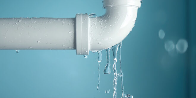 Plumbing Success