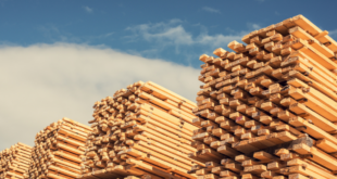 canadian softwood lumber duties