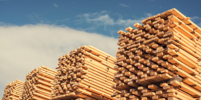 canadian softwood lumber duties